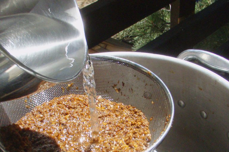 Dia internacional da Água